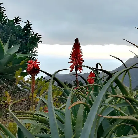 Casa La Montaña Сasa de vacaciones