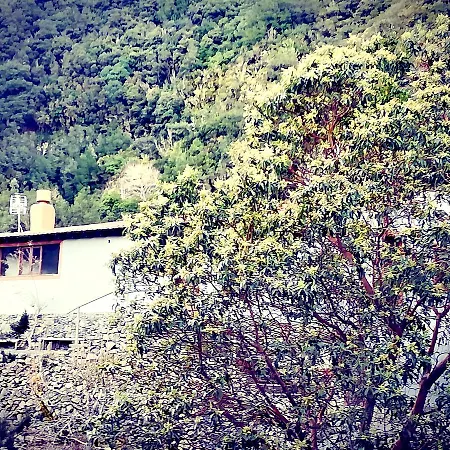 Casa La Montana Nyaraló *